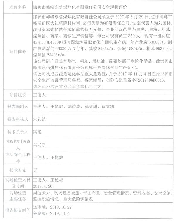  邯郸市峰峰东信煤焦化有限责任公司安全现状评价